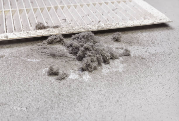 Best Ductwork Cleaning Services  in Fort Meade, FL