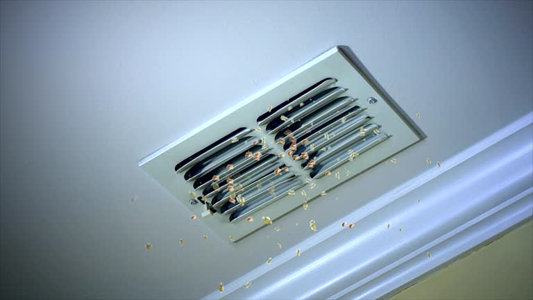 Professional Airduct Cleaning in Fort Meade, FL